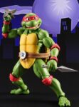 image_t-fig-shf-turtle-red51