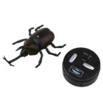 image_image_beetle18