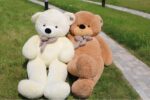 image_image_a-plush-giantteddy-200cm-8_138