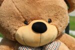 image_image_a-plush-giantteddy-200cm-833