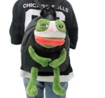 image_image_bnip_pepe_sad_frog_meme_bag_backpack_1585126424_a7b59b1f_progressive15