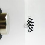 image_image_t-ferrofluid_136