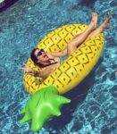 image_image_t-inflatablepineapple-314