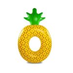 image_image_t-inflatablepineapple-314