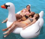 image_image_t-inflatableswan190cm28