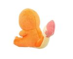 image_image_t-plush-pk-charmander30