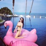 image_image_t-swim-flamingo190cm09