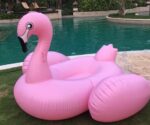 image_image_t-swim-flamingo190cm09