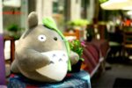 image_image_t-totoro-65cm-226