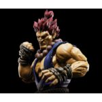 image_t-fig-shf-akuma03