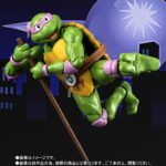 image_t-fig-shf-turtle-purple50