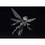 image_t-fig-shf-wasp09