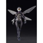 image_t-fig-shf-wasp09