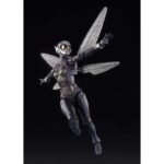 image_t-fig-shf-wasp09