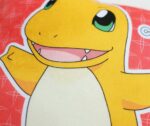 image_t-pillow-pk-charmander-111