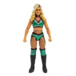 t-actionfig-wwe-taycontiaews259