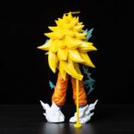 t-fig-gk-gokus3-251