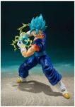 t-fig-shf-vegito51