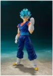 t-fig-shf-vegito51