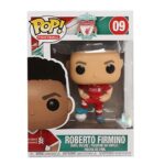 t-funko-roberto0915